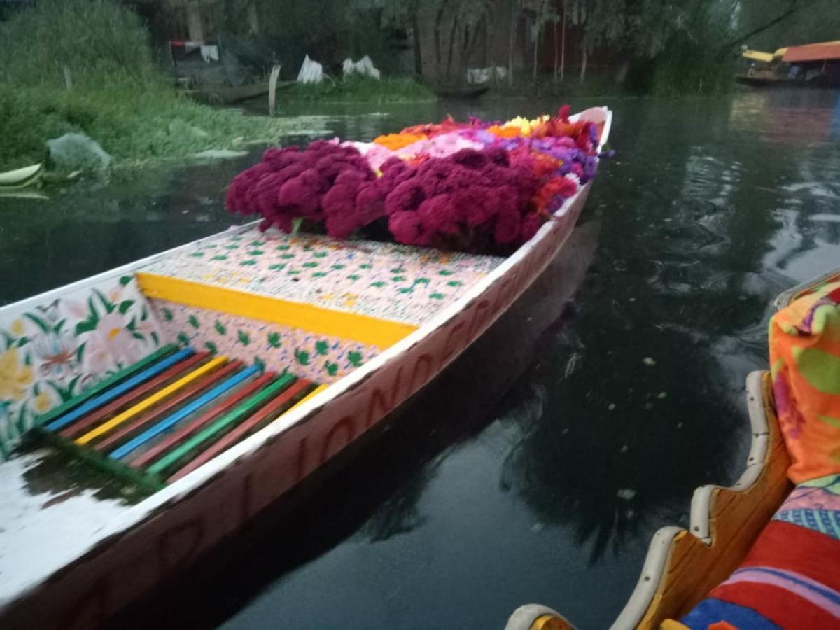 Umbrella Group Of House Boat Hotel Srīnagar Exterior foto